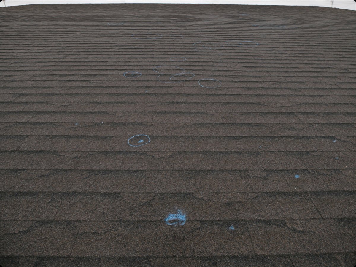 Hail impact spots circled in chalk on asphalt shingles, marked for an insurance adjuster's review