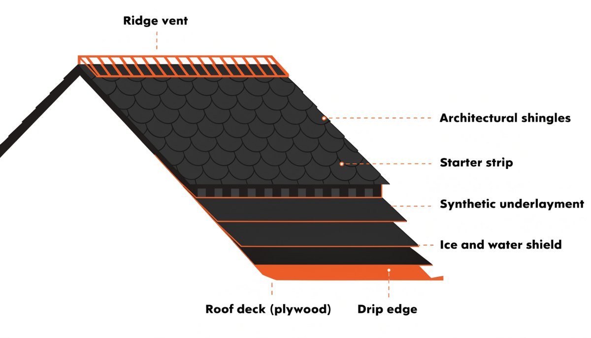 Cutaway diagram of asphalt roof layers: deck, ice and water shield, underlayment, drip edge, starter strip, shingles and ridge vent